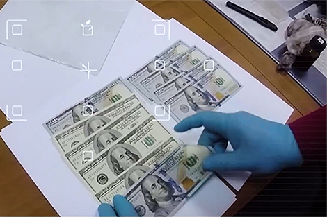 Money from Ukraine, Israel, USA. Who was ready to finance a power grab in Belarus?