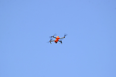 Lukashenko signs law on prosecution for illegal actions involving drones