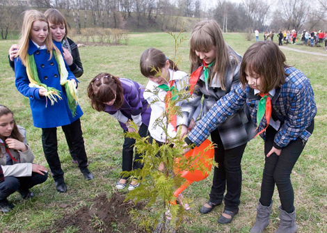 Белорусские школьники стали лидерами по посадке деревьев среди 150 стран мира