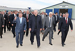 В Беларуси необходимо продолжить создание современных молочно-товарных комплексов - А.Лукашенко