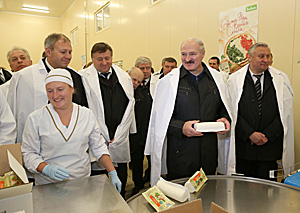 Александр Лукашенко требует выполнения в полном объеме госпрограммы по развитию Припятского Полесья