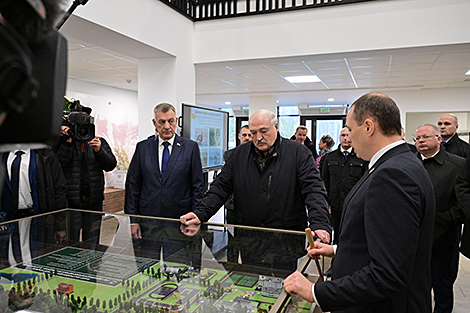 Лукашенко поручил по-хозяйски развивать территории заповедников и осмотрел 