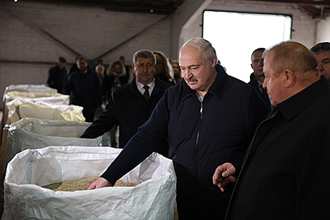 Полесский рай. Как Лукашенко решил из 