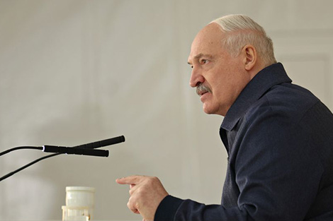 Сохранение земель и создание производств. Лукашенко о задачах по развитию Припятского Полесья