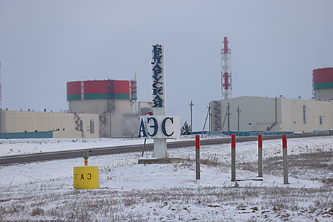 Радиационный мониторинг в зоне влияния БелАЭС обсудили на координационной встрече в МАГАТЭ
