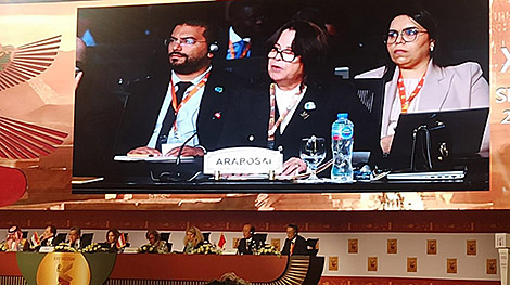 КГК Беларуси получит статус наблюдателя в Арабской организации высших органов финансового контроля