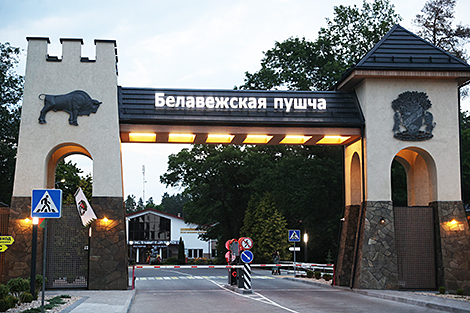 Беларусь на сессии Комитета Всемирного наследия ЮНЕСКО акцентировала внимание на важности защиты Беловежской пущи