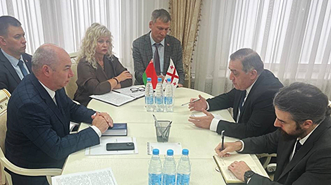 Беларусь и Грузия намерены развивать сотрудничество в сфере медицины