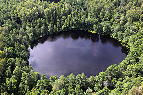 Scientists develop virtual tour across Belarus’ natural reserves