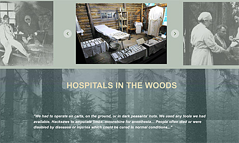 Partisan Chronicles: Hospitals in the Woods