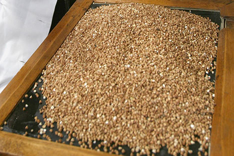 Belarus has five months of buckwheat stocks