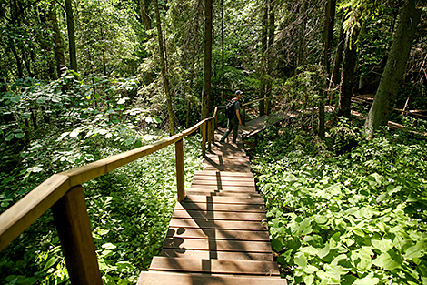 Belarus’ national parks, Berezinsky Biosphere Reserve see tourist boom