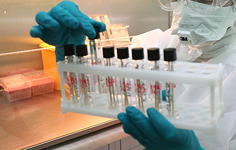 Belarus' coronavirus recoveries at 22,066