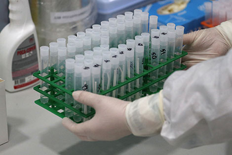 WHO provides 6,000 coronavirus testing kits to Belarus