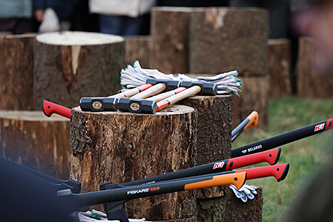 Lukashenko sends greetings to participants of wood chopping challenge