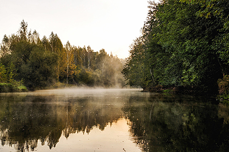MP: Polesie has huge untapped tourism potential
