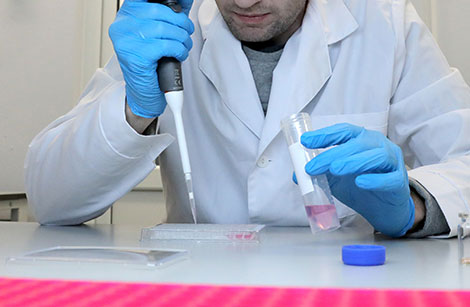 Belarus’ stockpile of testing kits for new coronavirus at 65,880