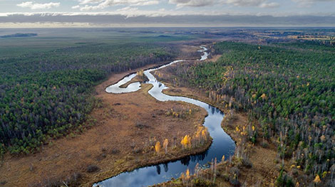 European Diploma for Protected Areas renewed for Berezinsky Biosphere Reserve in Belarus