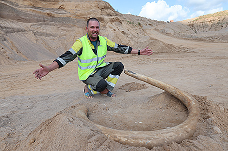 Mammoth tusk found in Belarus