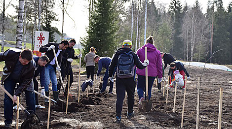 Over 300 birch trees planted by China-Belarus industrial park officials on national cleanup day