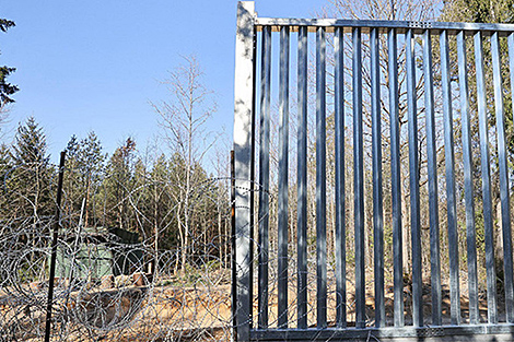Polish border fence threatens nature of Belovezhskaya Pushcha