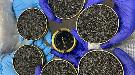Belarus to launch black caviar factory tours in June