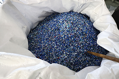 Belarusian researchers seek biological solutions to plastic waste