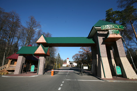 New open-air museum in Belovezhskaya Pushcha to open on 1 June