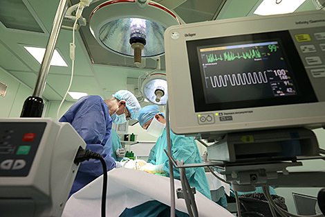 Belarusian scientists advance organ transplantation technologies