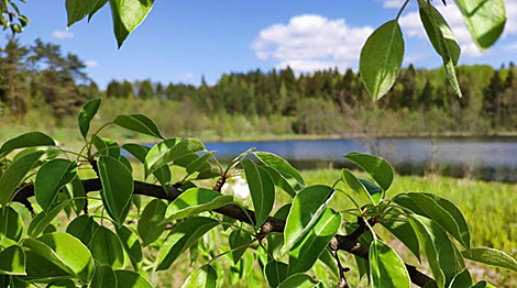 UNDP project to help improve air quality monitoring in Belarus