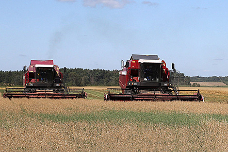Lukashenko: Farmers have done excellent work this year