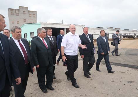 Lukashenko: Kupalovskoye should mark new milestone for Belarus’ agricultural industry