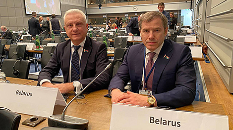 MP at OSCE PA: We reject attempts to tell us who to befriend and what leaders to choose