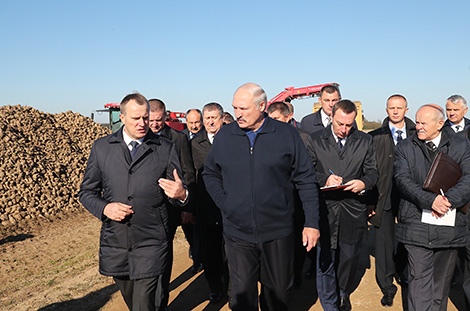 Lukashenko urges to step up efforts to finish autumn field work