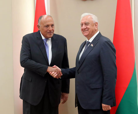 Call for more Belarus-Egypt investment projects with unique technologies