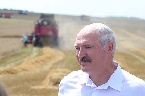 Belarusian farmers encouraged to collect every grain