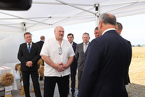 Lukashenko urges farmers to maintain momentum in field works