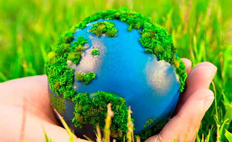 Belarus takes measures to mitigate impacts of climate change on economy