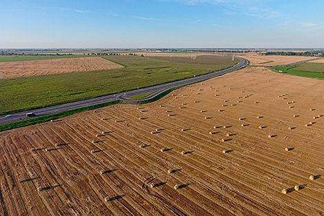 Lukashenko wants land relations to remain under strict state control