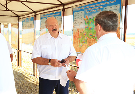 Belarus president orders to keep up harvesting pace