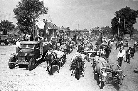 Историк: Белорусская ССР сумела к 1950 году восстановить разрушенное во время оккупации сельское хозяйство