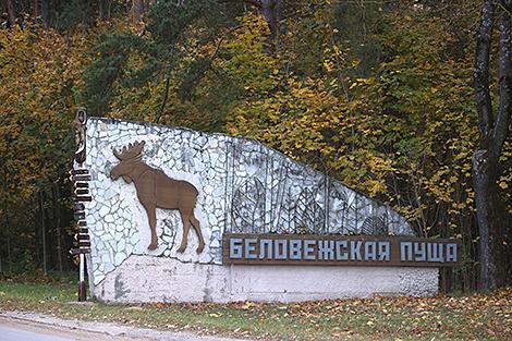 Квест, привал на Царской поляне и угощения: велосезон закроют в Беловежской пуще 22 октября