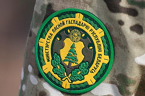 Минлесхоз: в Беларуси насчитывается более 92 тыс. охотников, девушек среди них с каждым годом все больше