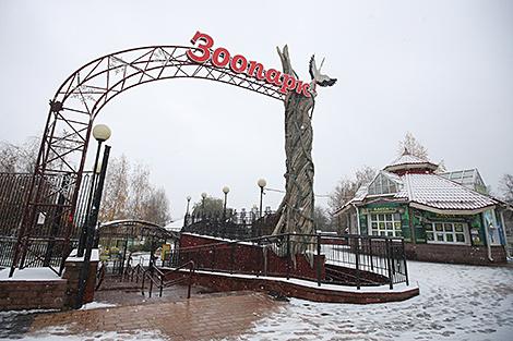 Минский зоопарк 8 марта предоставит женщинам скидку 50% на билет