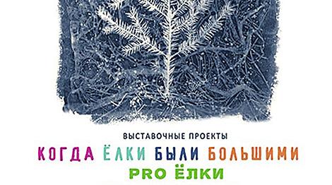 Три новогодние фотовыставки откроются в Национальном центре современных искусств