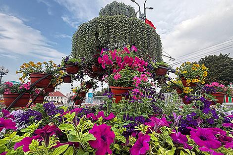 Фонтан из цветов появился в Гродно ко Дню города