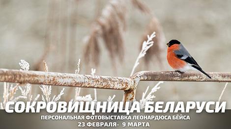 Дикая природа Беларуси в объективе голландского фотографа представлена на выставке в Минске