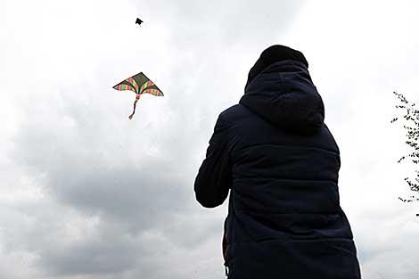 Около 100 воздушных змеев запустят на фестивале в Бресте