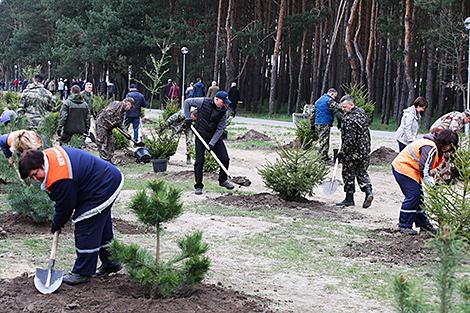 Белстат: более Br14 млн заработано на республиканском субботнике