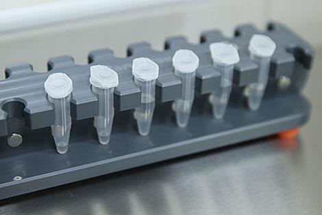 За сутки в Беларуси зарегистрированы 1467 пациентов с COVID-19, выписан 1431